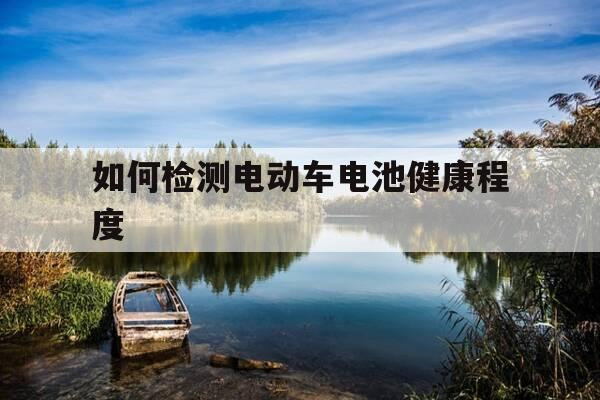 如何检测电动车电池健康程度-如何检测电动车电池容量-第1张图片-优惠活动网 如何检测电动车电池健康程度-如何检测电动车电池容量-第1张图片-优惠活动网