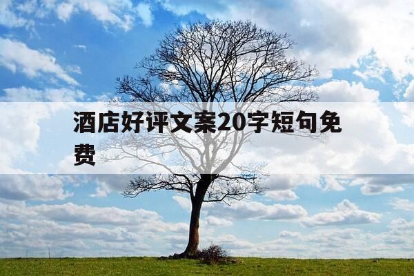 酒店好评文案20字短句免费-酒店好评简短-第1张图片-优惠活动网