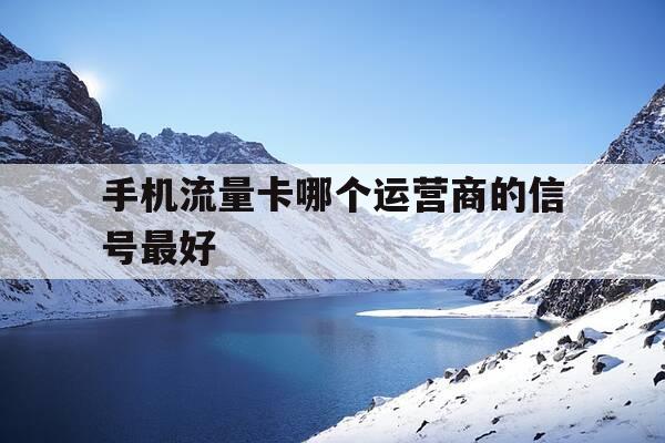 手机流量卡哪个运营商的信号最好-手机流量卡哪家运营商好-第1张图片-优惠活动网