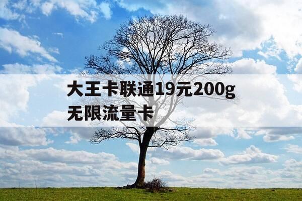 大王卡联通19元200g无限流量卡-大王卡联通19元200g无限流量卡长期免流吗-第1张图片-优惠活动网