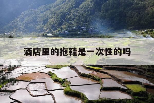 酒店里的拖鞋是一次性的吗-酒店里面的一次性拖鞋要钱吗-第1张图片-优惠活动网