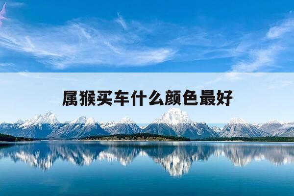 属猴买车什么颜色最好-属猴的买车什么颜色适合-第1张图片-优惠活动网