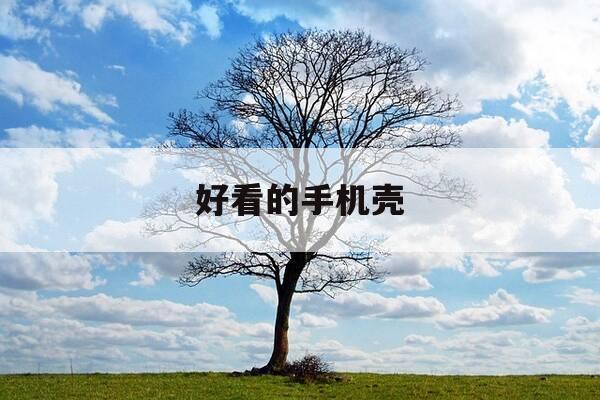 好看的手机壳-苹果手机壳哪个牌子好看又实用-第1张图片-优惠活动网