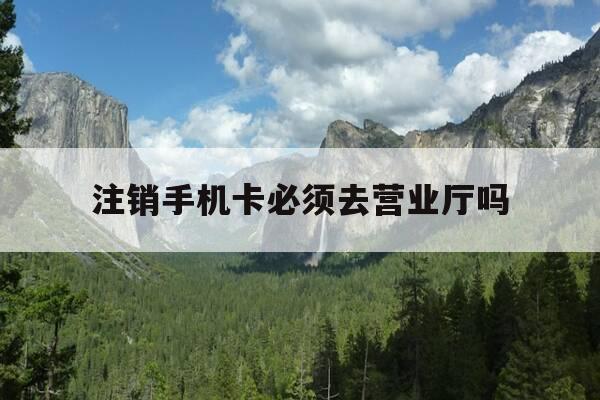 注销手机卡必须去营业厅吗-注销手机卡需要去办卡的营业厅吗-第1张图片-优惠活动网