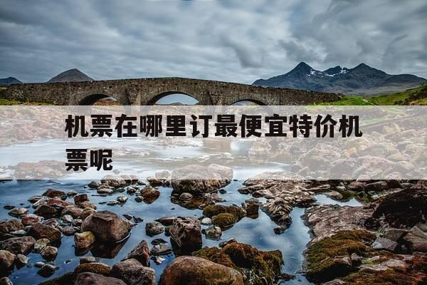 机票在哪里订最便宜特价机票呢-机票在哪里订比较便宜和更好-第1张图片-优惠活动网