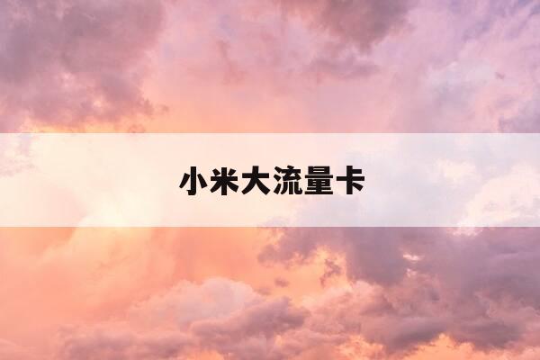 小米大流量卡-小米大流量卡怎么激活-第1张图片-优惠活动网