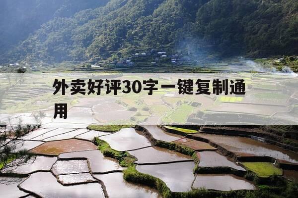 外卖好评30字一键复制通用-炒鸡好评30字可复制-第1张图片-优惠活动网