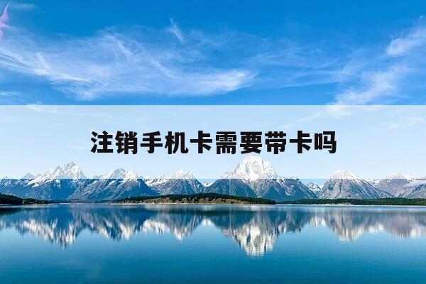 注销手机卡需要带卡吗-注销手机卡需要带身份证嘛-第1张图片-优惠活动网