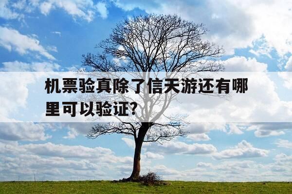 机票验真除了信天游还有哪里可以验证?--第1张图片-优惠活动网