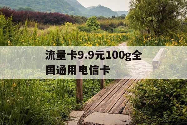 流量卡9.9元100g全国通用电信卡-流量卡99元100g全国通用电信卡多少钱-第1张图片-优惠活动网