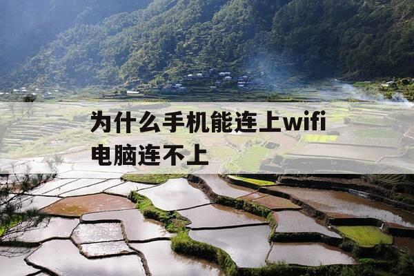 为什么手机能连上wifi电脑连不上-为什么手机能连上wifi电脑连不上,显示无网络访问权限-第1张图片-优惠活动网