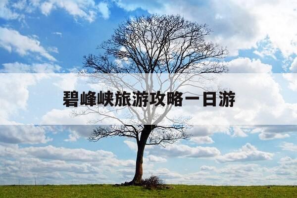 碧峰峡旅游攻略一日游-碧峰峡旅游攻略一日游多少钱-第1张图片-优惠活动网 碧峰峡旅游攻略一日游-碧峰峡旅游攻略一日游多少钱-第1张图片-优惠活动网