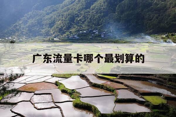 广东流量卡哪个最划算的-广东纯流量卡哪家划算-第1张图片-优惠活动网