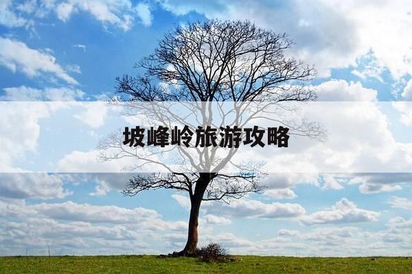 坡峰岭旅游攻略-坡峰岭景点-第1张图片-优惠活动网 坡峰岭旅游攻略-坡峰岭景点-第1张图片-优惠活动网