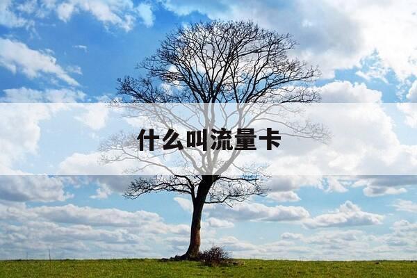 什么叫流量卡-什么叫流量卡的优缺点-第1张图片-优惠活动网