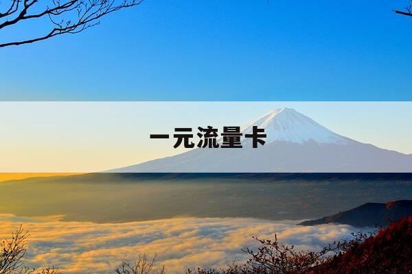 一元流量卡-流量卡一元多少流量-第1张图片-优惠活动网