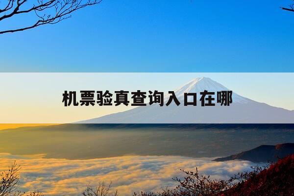 机票验真查询入口在哪-机票验真怎么验-第1张图片-优惠活动网