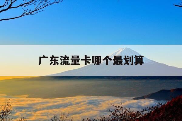 广东流量卡哪个最划算-广东纯流量卡哪家划算-第1张图片-优惠活动网