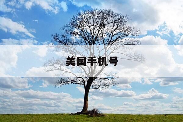 美国手机号-美国手机号购买网站-第1张图片-优惠活动网