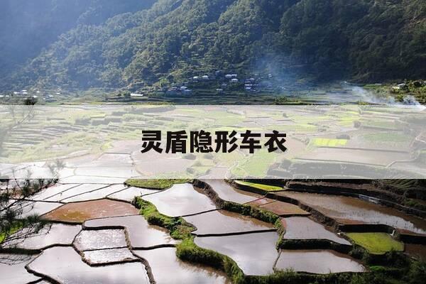 灵盾隐形车衣-灵盾隐形车衣怎么样-第1张图片-优惠活动网 灵盾隐形车衣-灵盾隐形车衣怎么样-第1张图片-优惠活动网