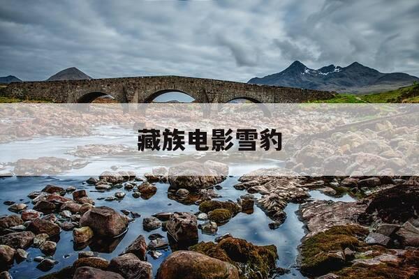 藏族电影雪豹-藏族电影雪豹免费观看完整版-第1张图片-优惠活动网