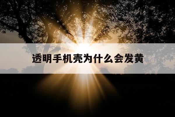 透明手机壳为什么会发黄-透明手机壳为什么泛黄-第1张图片-优惠活动网