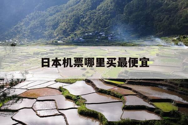 日本机票哪里买最便宜-日本机票哪里买最便宜省钱-第1张图片-优惠活动网