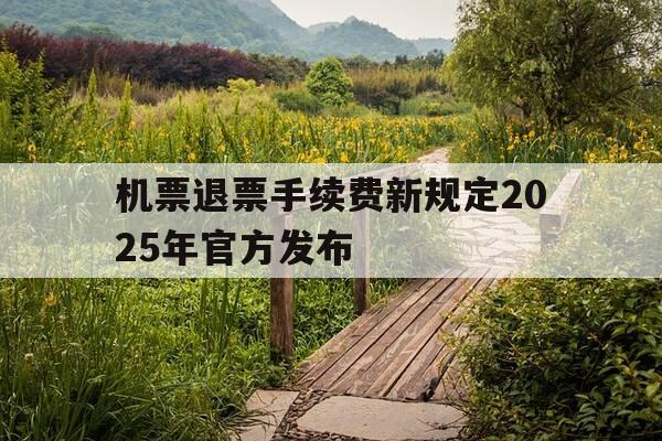 机票退票手续费新规定2025年官方发布-2020机票退票政策-第1张图片-优惠活动网