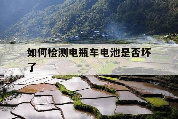 如何检测电瓶车电池是否坏了-怎样检查电动车电池有无坏了的-第1张图片-优惠活动网