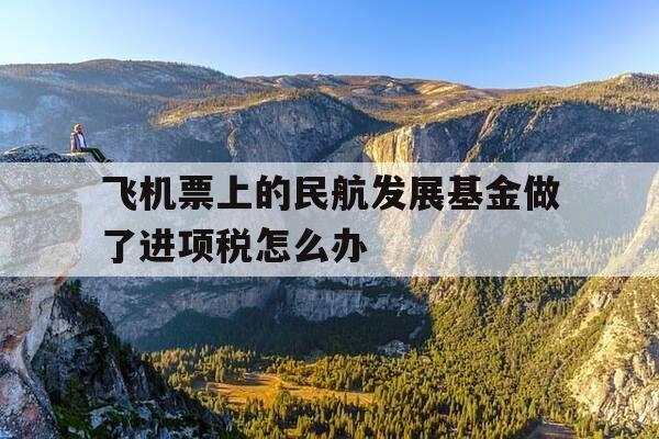 飞机票上的民航发展基金做了进项税怎么办--第1张图片-优惠活动网