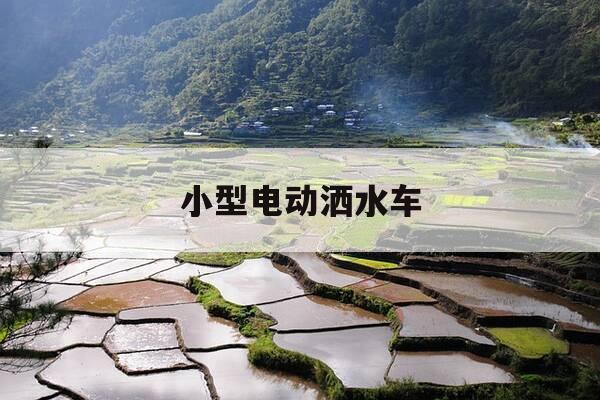 小型电动洒水车-小型电动洒水车报价表-第1张图片-优惠活动网