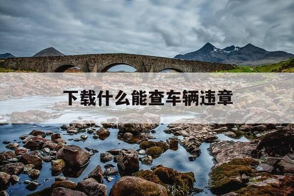 下载什么能查车辆违章-下载什么查车违章简单方便-第1张图片-优惠活动网