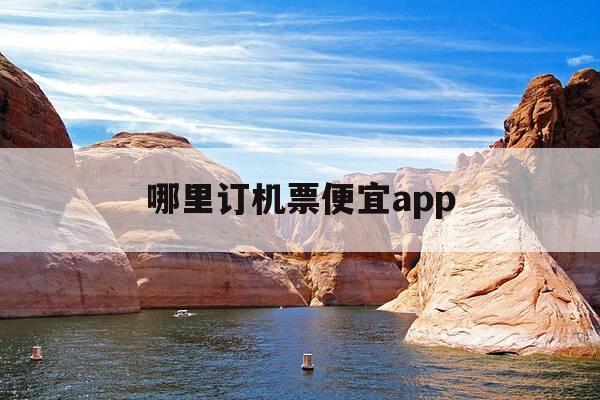 哪里订机票便宜app-机票哪里订最便宜app-第1张图片-优惠活动网