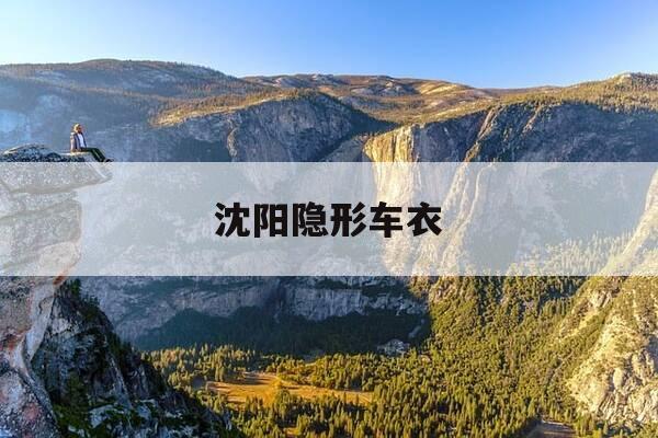 沈阳隐形车衣-辽阳隐形车衣-第1张图片-优惠活动网