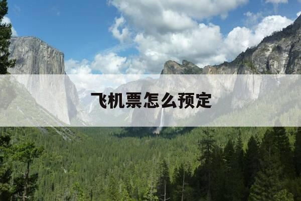 飞机票怎么预定-如何定飞机票-第1张图片-优惠活动网