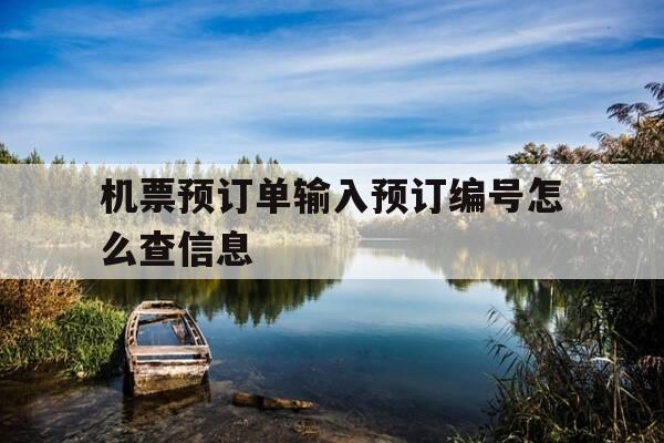 机票预订单输入预订编号怎么查信息-机票预订单怎么看-第1张图片-优惠活动网