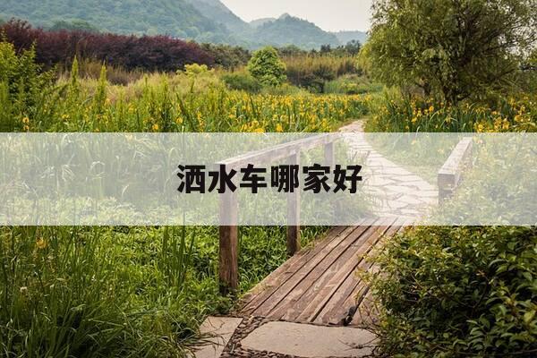 洒水车哪家好-最好的洒水车-第1张图片-优惠活动网