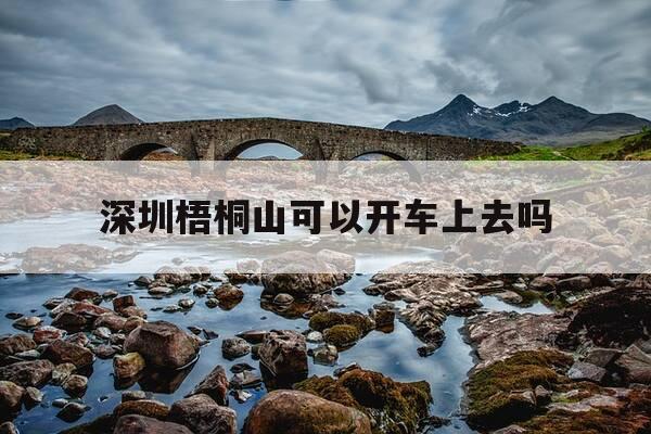深圳梧桐山可以开车上去吗-深圳梧桐山可以开车上去吗多少钱-第1张图片-优惠活动网 深圳梧桐山可以开车上去吗-深圳梧桐山可以开车上去吗多少钱-第1张图片-优惠活动网
