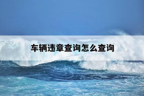 车辆违章查询怎么查询-车辆违章查询怎么查询的-第1张图片-优惠活动网 车辆违章查询怎么查询-车辆违章查询怎么查询的-第1张图片-优惠活动网