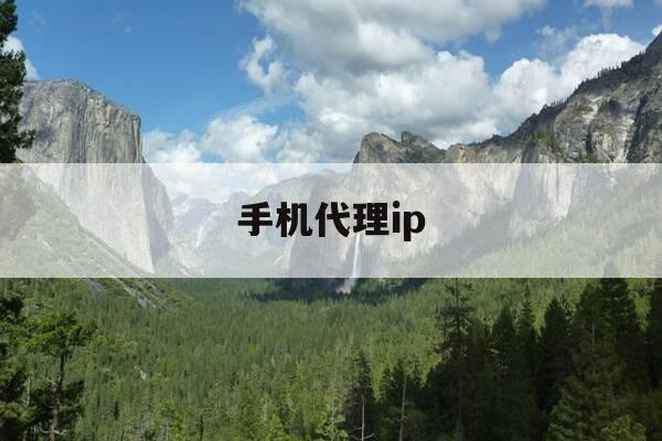 手机代理ip-手机代理ip怎么搭建-第1张图片-优惠活动网 手机代理ip-手机代理ip怎么搭建-第1张图片-优惠活动网