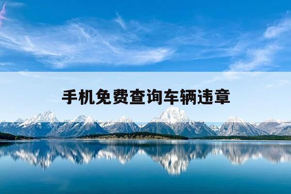 手机免费查询车辆违章-手机查机动车违章软件下载-第1张图片-优惠活动网 手机免费查询车辆违章-手机查机动车违章软件下载-第1张图片-优惠活动网