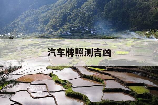 汽车牌照测吉凶-车牌子测吉凶免费-第1张图片-优惠活动网 汽车牌照测吉凶-车牌子测吉凶免费-第1张图片-优惠活动网