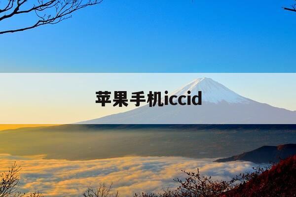 苹果手机iccid-苹果手机iccid显示无sim卡-第1张图片-优惠活动网 苹果手机iccid-苹果手机iccid显示无sim卡-第1张图片-优惠活动网