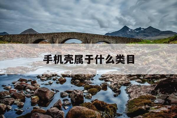 手机壳属于什么类目-手机壳算什么商品-第1张图片-优惠活动网 手机壳属于什么类目-手机壳算什么商品-第1张图片-优惠活动网