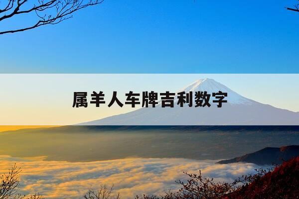 属羊人车牌吉利数字-属羊的车牌号码选几最好呢-第1张图片-优惠活动网 属羊人车牌吉利数字-属羊的车牌号码选几最好呢-第1张图片-优惠活动网