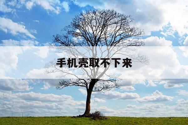 手机壳取不下来-手机外壳怎么拆下来-第1张图片-优惠活动网 手机壳取不下来-手机外壳怎么拆下来-第1张图片-优惠活动网