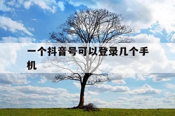 一个抖音号可以登录几个手机-一个手机可以两个抖音吗-第1张图片-优惠活动网 一个抖音号可以登录几个手机-一个手机可以两个抖音吗-第1张图片-优惠活动网