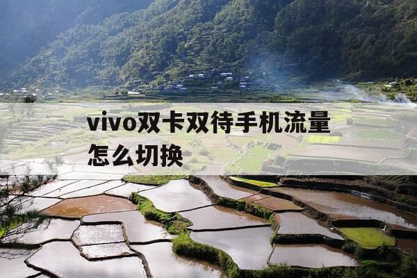 vivo双卡双待手机流量怎么切换-vivo手机双卡流量如何切换-第1张图片-优惠活动网