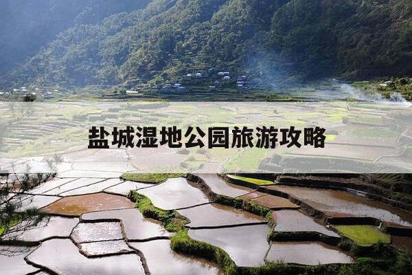 盐城湿地公园旅游攻略-盐城湿地公园介绍-第1张图片-优惠活动网 盐城湿地公园旅游攻略-盐城湿地公园介绍-第1张图片-优惠活动网