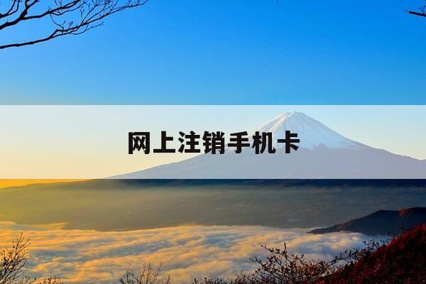 网上注销手机卡-电信如何网上注销手机卡-第1张图片-优惠活动网 网上注销手机卡-电信如何网上注销手机卡-第1张图片-优惠活动网